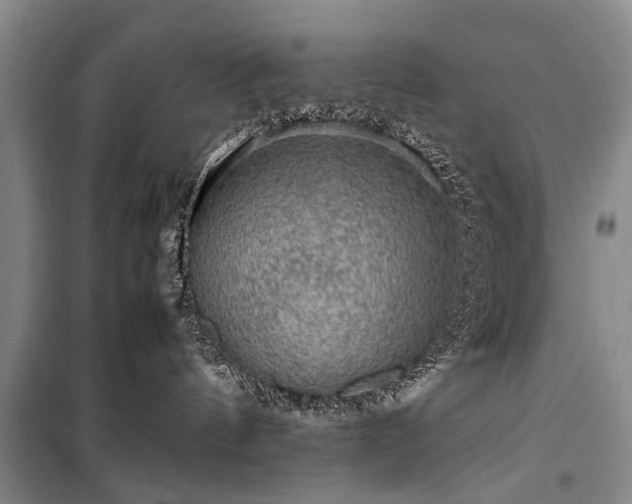 X0000100950144200807011317