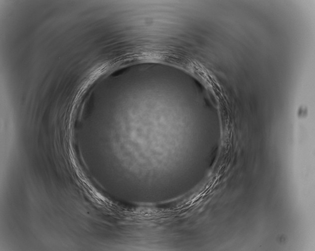 X0000100950145200807011316