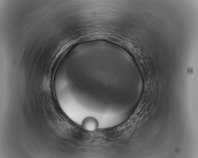 X0000100950146200807011316