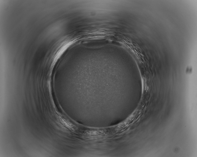 X0000100950147200807011316