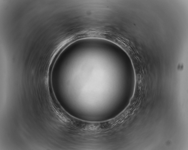 X0000100950148200807011317