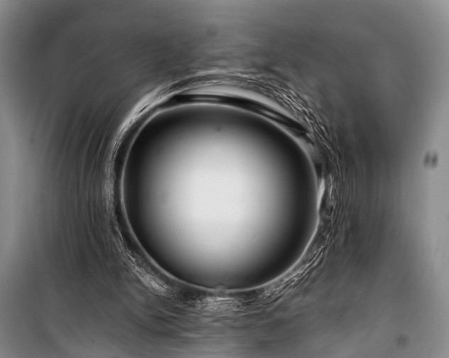X0000100950150200807011317
