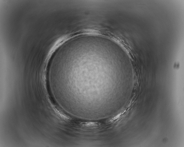 X0000100950151200807011317