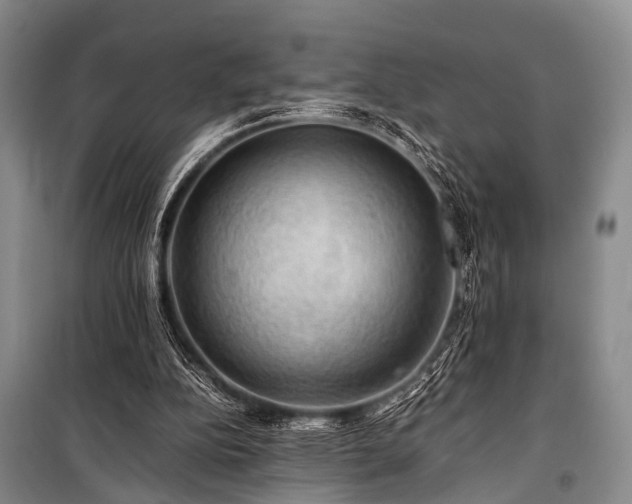 X0000100950152200807011317