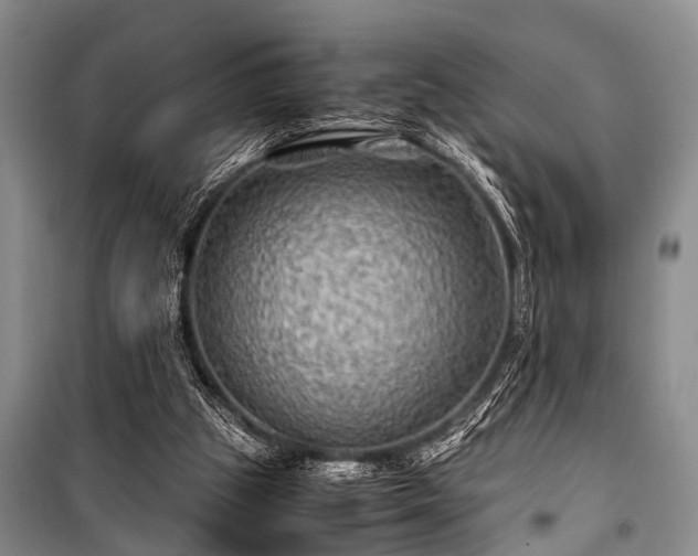 X0000100950153200807011317