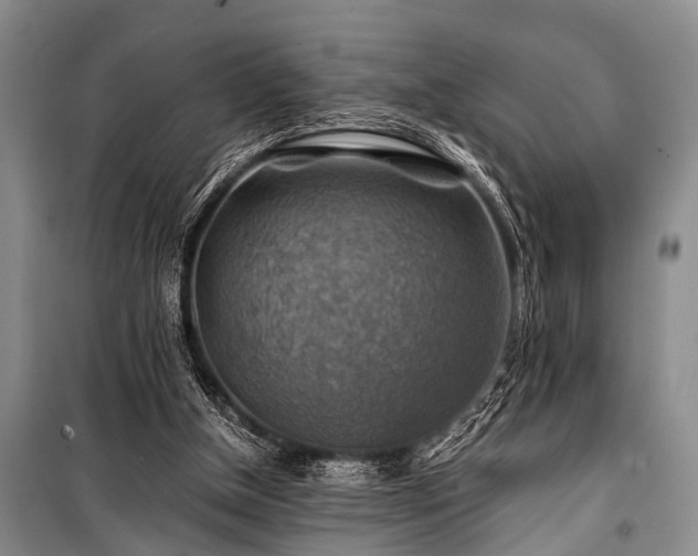 X0000100950154200807011317