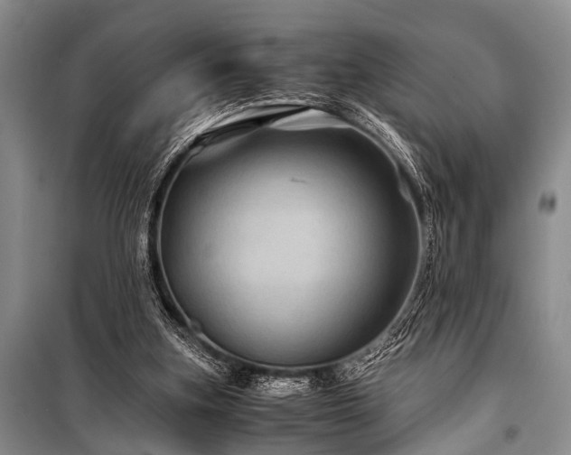 X0000100950155200807011317