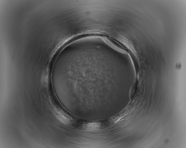 X0000100950156200807011317