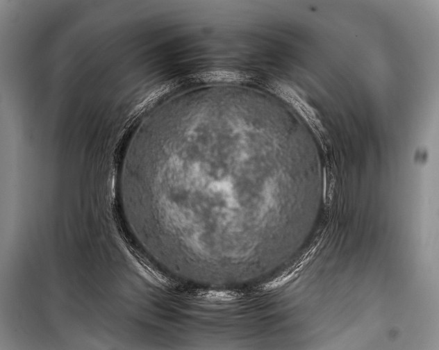 X0000100950157200807011317