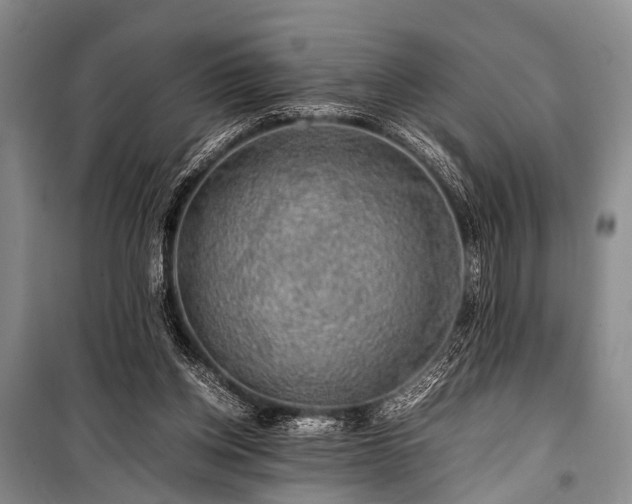 X0000100950158200807011317