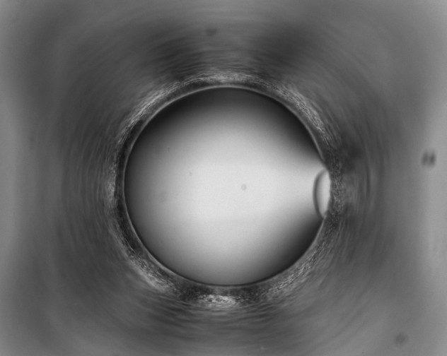 X0000100950159200807011317