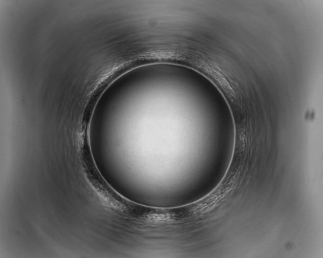 X0000100950160200807011317