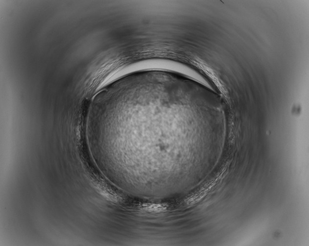 X0000100950161200807011317