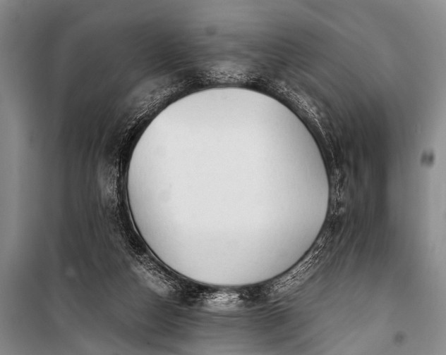X0000100950162200807011317