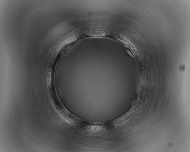 X0000100950163200807011317