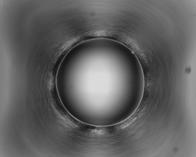 X0000100950164200807011317