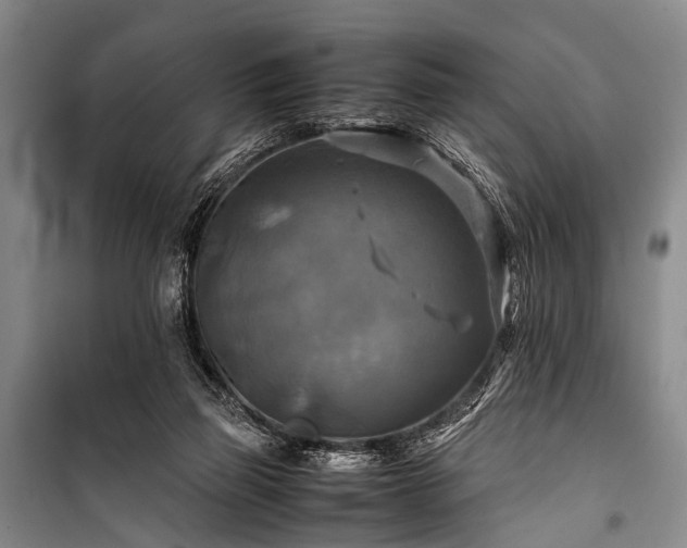 X0000100950165200807011317