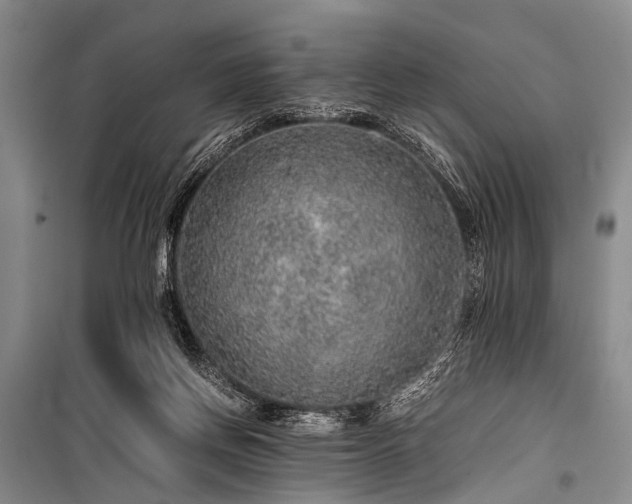 X0000100950166200807011317