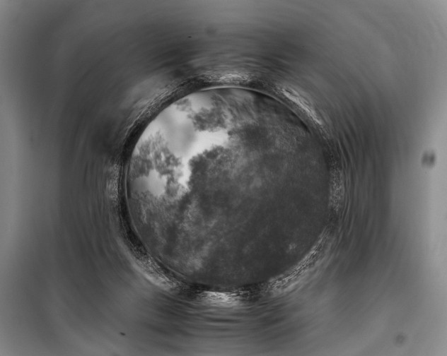 X0000100950167200807011317