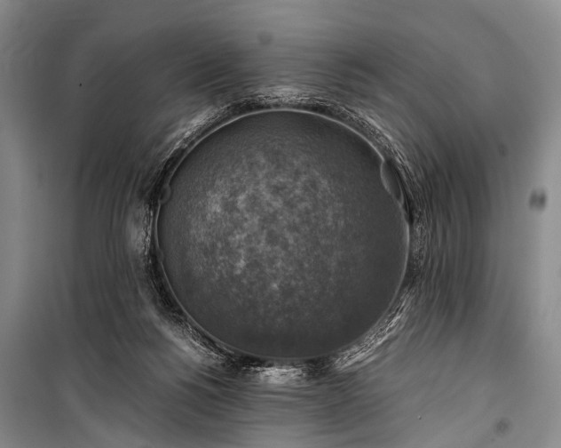 X0000100950168200807011317