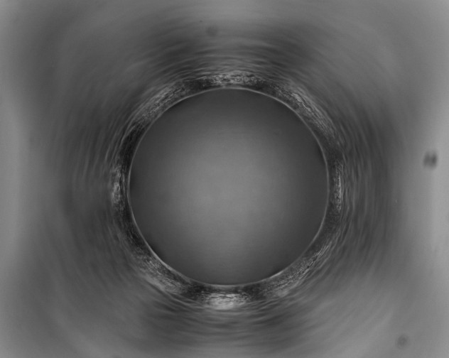 X0000100950169200807011317