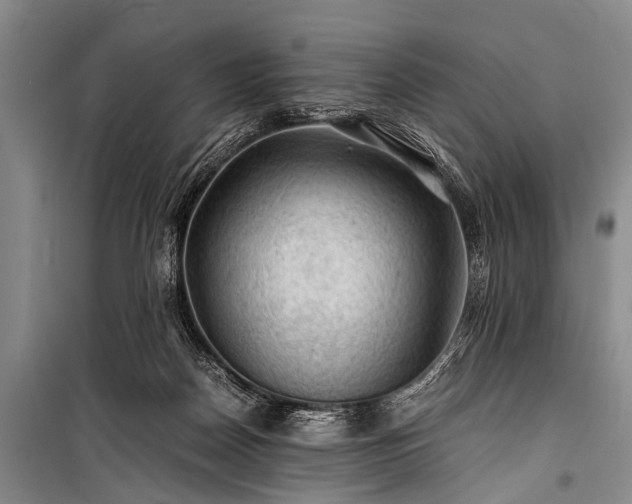 X0000100950170200807011317