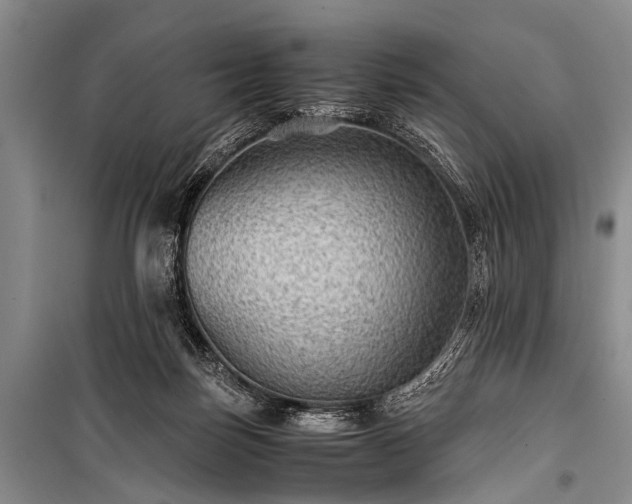 X0000100950171200807011317