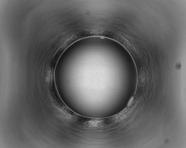 X0000100950172200807011317