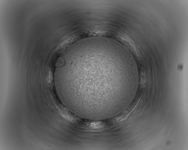 X0000100950173200807011317