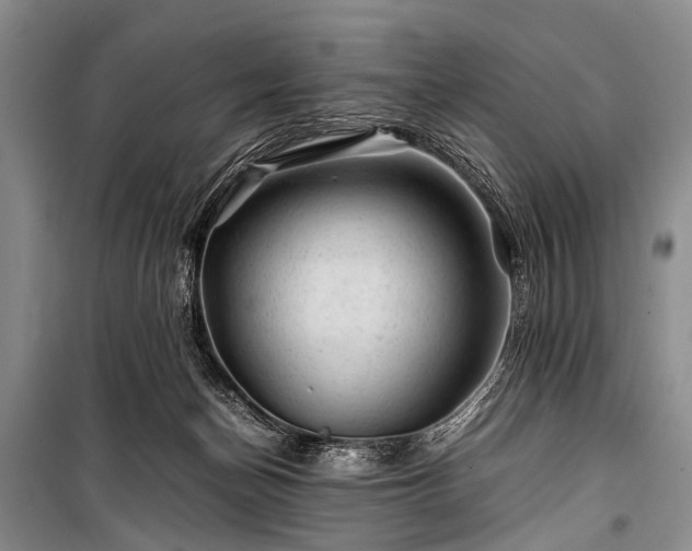X0000100950174200807011317