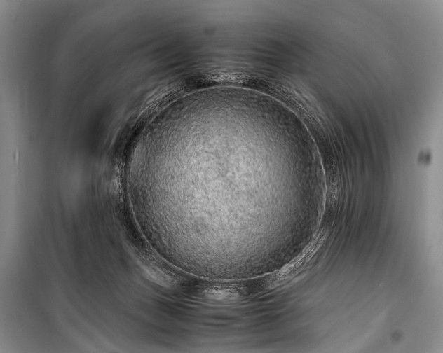 X0000100950175200807011317