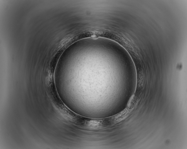 X0000100950176200807011317
