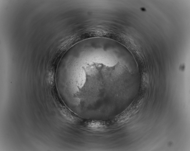 X0000100950177200807011317
