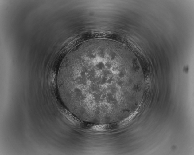 X0000100950178200807011317