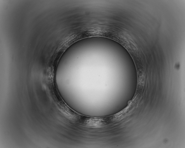 X0000100950179200807011317