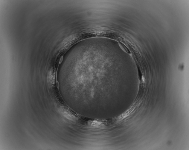 X0000100950180200807011317