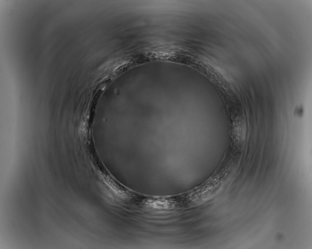 X0000100950181200807011317
