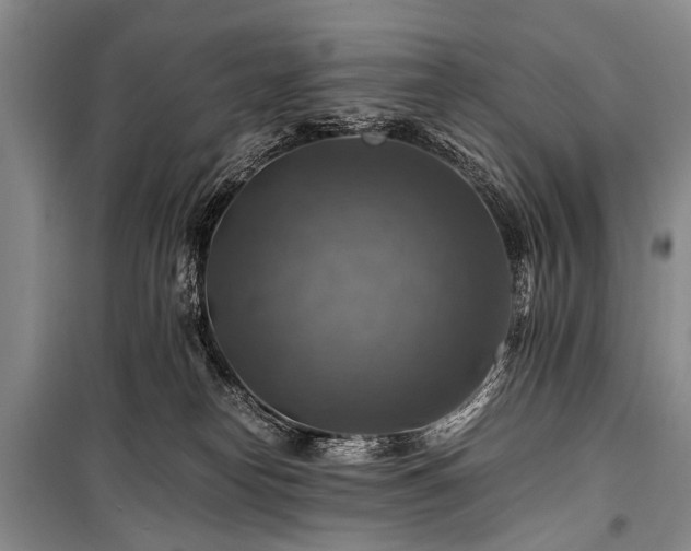 X0000100950182200807011317