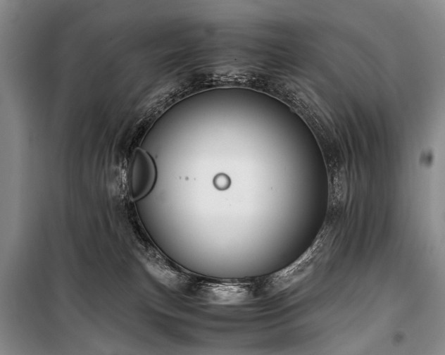 X0000100950183200807011317