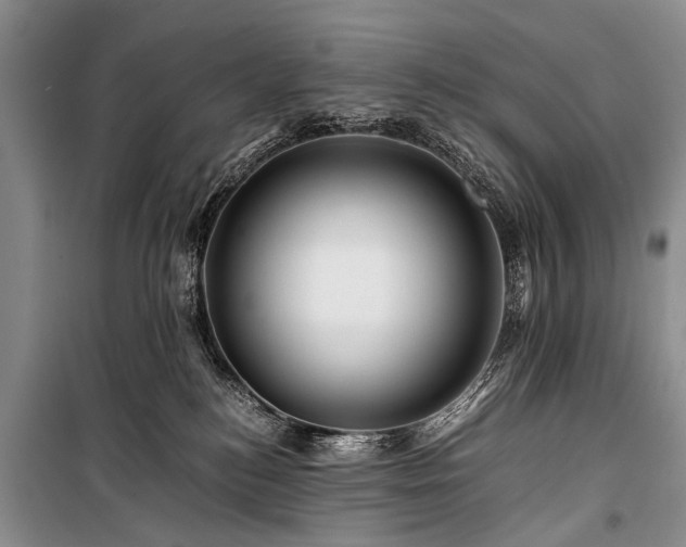 X0000100950184200807011317