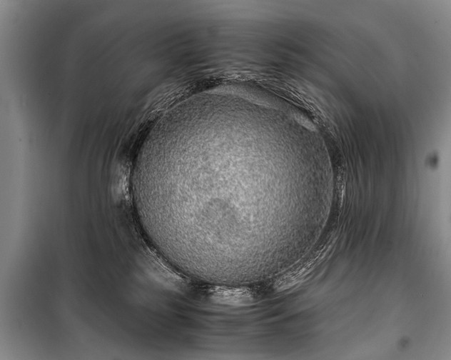 X0000100950185200807011317