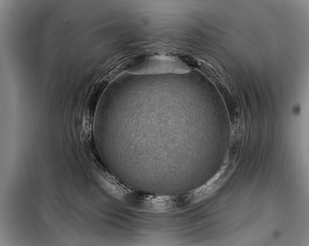 X0000100950186200807011317