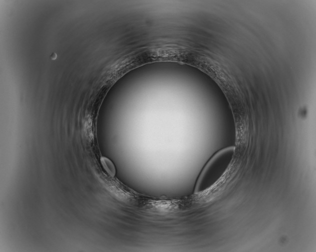X0000100950187200807011317
