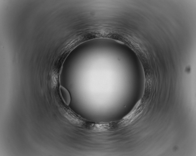 X0000100950188200807011317