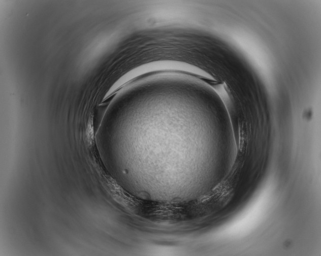 X0000100950190200807011317