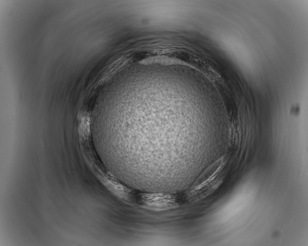 X0000100950191200807011317