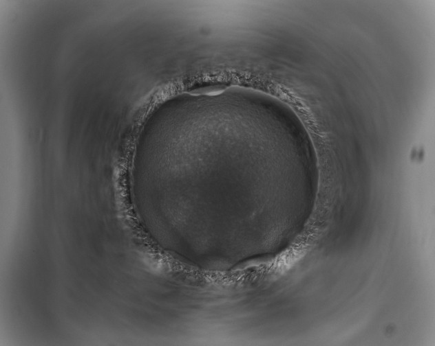 X0000100950192200807011317