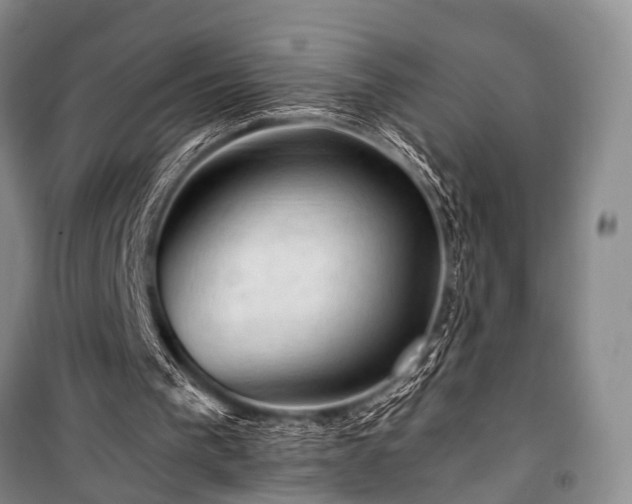 X0000100950193200807011316