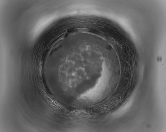 X0000100950194200807011316