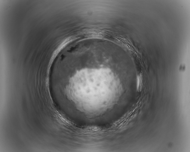 X0000100950195200807011316